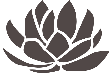Lotus Honolulu at Diamond Head Lotus Honolulu at Diamond Head