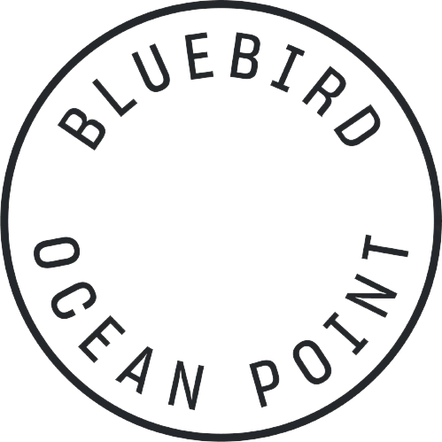 Bluebird Ocean Point Bluebird Ocean Point