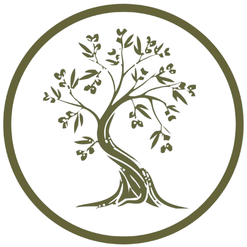 The Olive Tree The Olive Tree