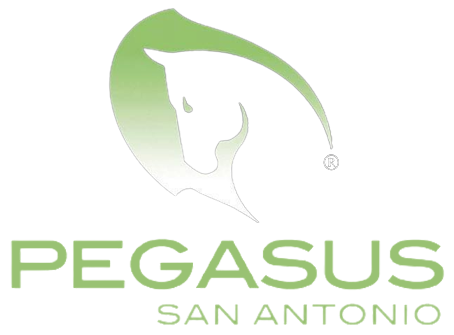 Pegasus Nightclub Pegasus Nightclub